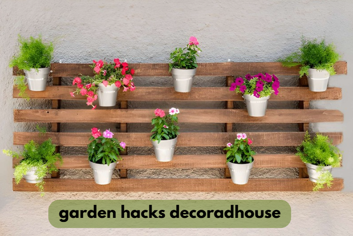 garden hacks decoradhouse
