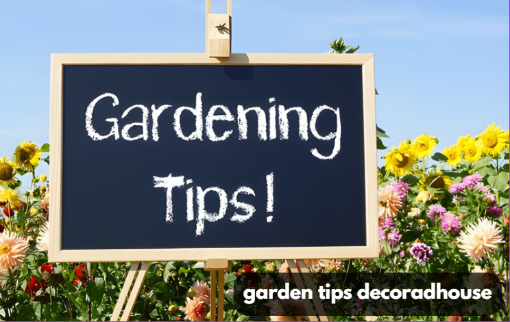 garden tips decoradhouse