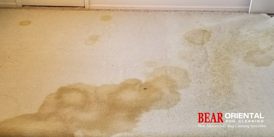Rug Stain