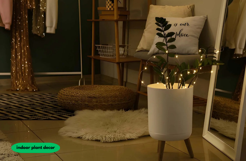 indoor plant decor