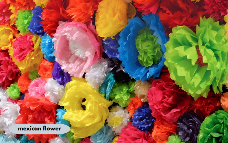 mexican flower